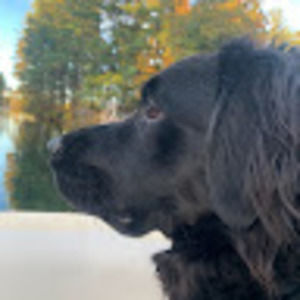 Meet your Posher, William